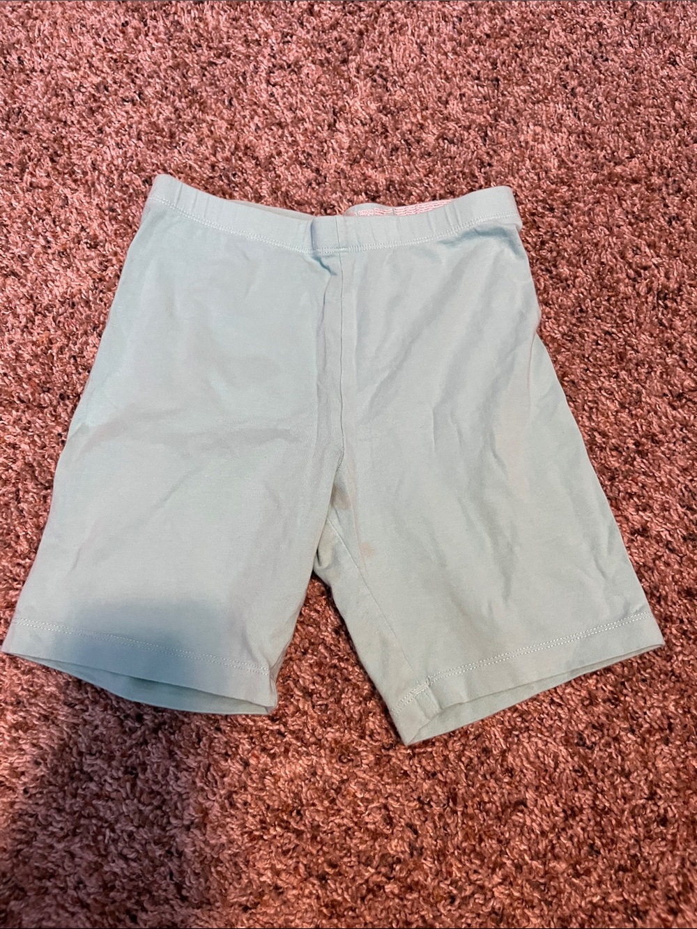 Teal Stretch Shorts